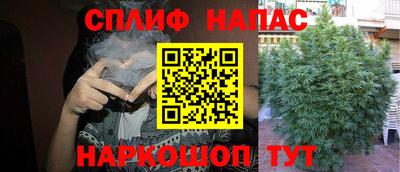 индика Канаш