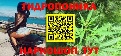 индика Канаш